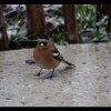 20130427_0019
